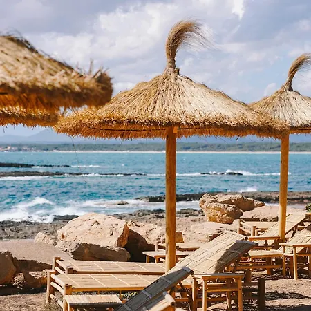 Bikini Island & Mountain Es Trenc -adults Only-